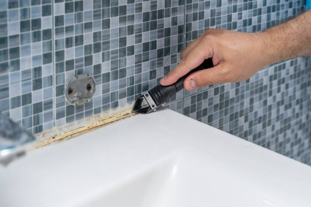 Best White Mold Remediation in Glandorf, OH